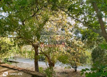 Foto 45 - Villa c.da acqualorto, Castelmola - foto 44