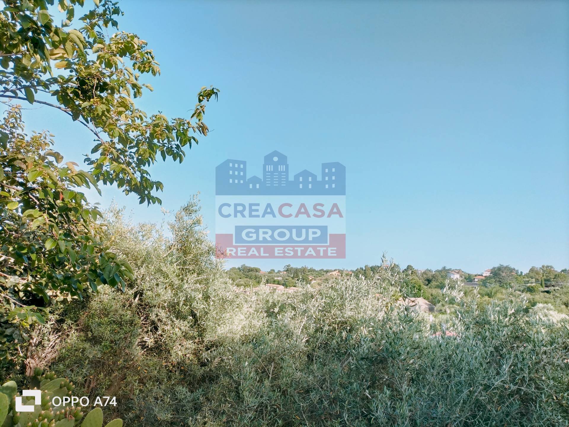 Foto 2 - Terreno agricolo via chiovazzi, Piedimonte Etneo - foto 2