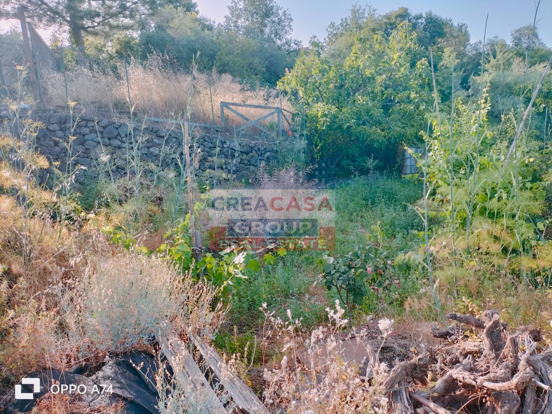 Foto 3 - Terreno agricolo via chiovazzi, Piedimonte Etneo - foto 3