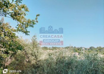 Foto 2 - Terreno agricolo via chiovazzi, Piedimonte Etneo - foto 2