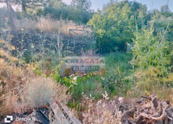 Foto 3 - Terreno agricolo via chiovazzi, Piedimonte Etneo - foto 3