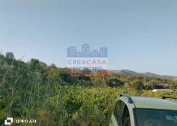 Foto 4 - Terreno agricolo via chiovazzi, Piedimonte Etneo - foto 4
