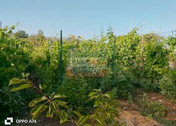 Foto 5 - Terreno agricolo via chiovazzi, Piedimonte Etneo - foto 5