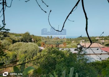 Foto 10 - Terreno agricolo via chiovazzi, Piedimonte Etneo - foto 10