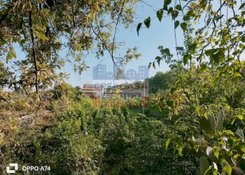 Foto 11 - Terreno agricolo via chiovazzi, Piedimonte Etneo - foto 11