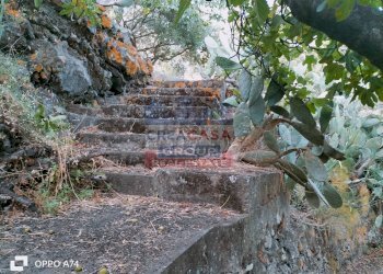 Foto 14 - Terreno agricolo via chiovazzi, Piedimonte Etneo - foto 14