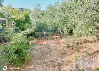 Foto 16 - Terreno agricolo via chiovazzi, Piedimonte Etneo - foto 16