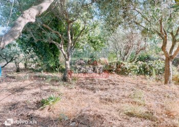 Foto 17 - Terreno agricolo via chiovazzi, Piedimonte Etneo - foto 17