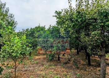 Foto 14 - Stabile - Palazzo Viale delle Province, Giarre - foto 14