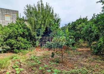 Foto 15 - Stabile - Palazzo Viale delle Province, Giarre - foto 15