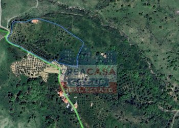 Foto 4 - Terreno agricolo contrada Rinazzi, Roccella Valdemone - foto 4