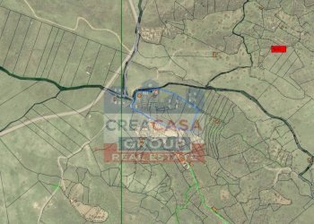 Foto 5 - Terreno agricolo contrada Rinazzi, Roccella Valdemone - foto 5