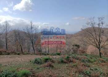 Foto 6 - Terreno agricolo contrada Rinazzi, Roccella Valdemone - foto 6