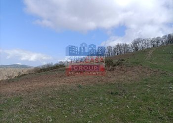 Foto 8 - Terreno agricolo contrada Rinazzi, Roccella Valdemone - foto 8