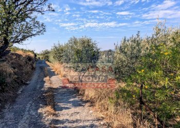 Foto 5 - Agriturismo Piano Croce, Calatabiano - foto 5