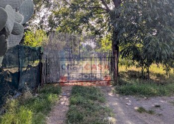 Foto 3 - Terreno agricolo Pegno Quaderaro, Calatabiano - foto 3