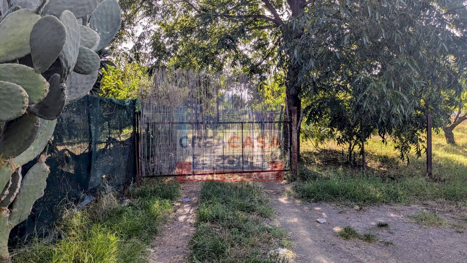 Foto 3 - Agriturismo Pegno Quaderaro, Calatabiano - foto 3