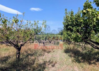 Foto 7 - Agriturismo Pegno Quaderaro, Calatabiano - foto 7