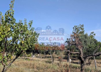 Foto 9 - Agriturismo Pegno Quaderaro, Calatabiano - foto 9