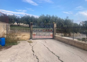 Foto 5 - Appartamento Via Monte degli Ulivi, Riesi - foto 5