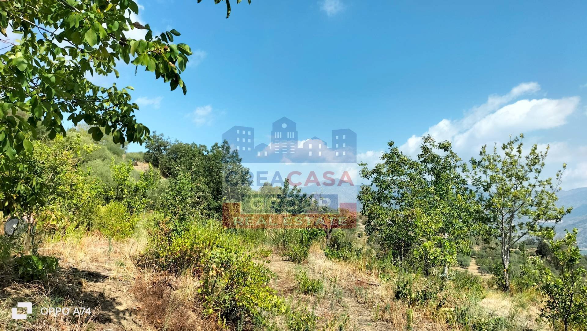 Foto 2 - Agriturismo Contrada Gurnazzo, Calatabiano - foto 2