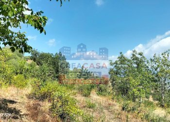 Foto 2 - Agriturismo Contrada Gurnazzo, Calatabiano - foto 2