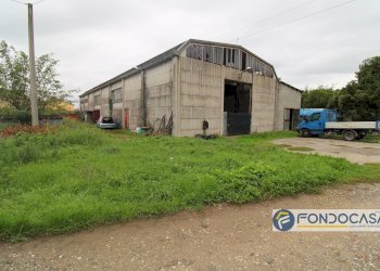 Foto 1 - Capannone Via Del Renaio, Buti - foto 1