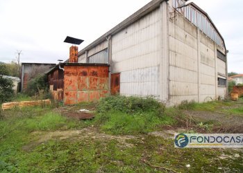 Foto 19 - Capannone Via Del Renaio, Buti - foto 19