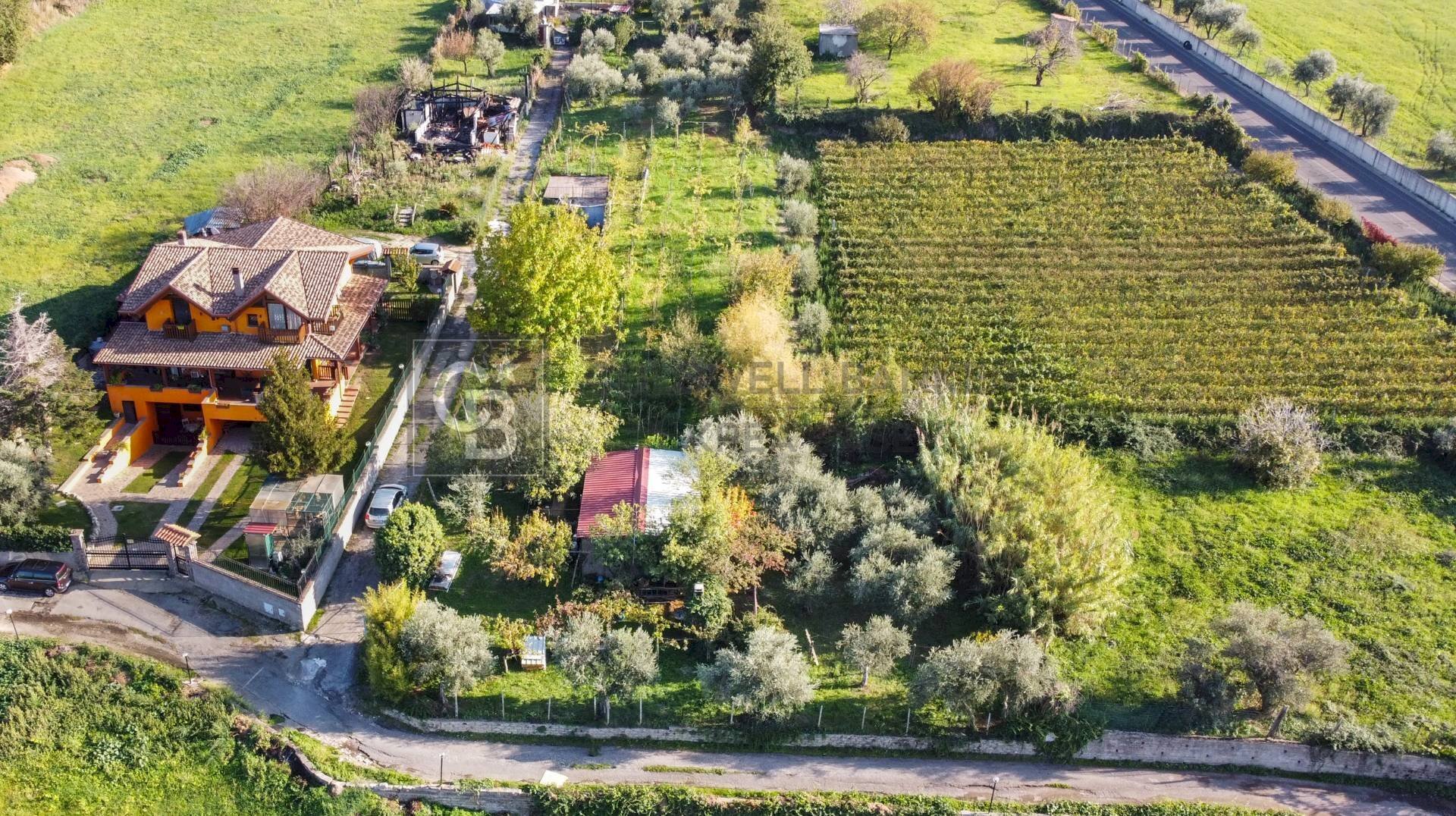 Foto 1 - Terreno agricolo Via Castel de Paolis
 
39, Grottaferrata - foto 1