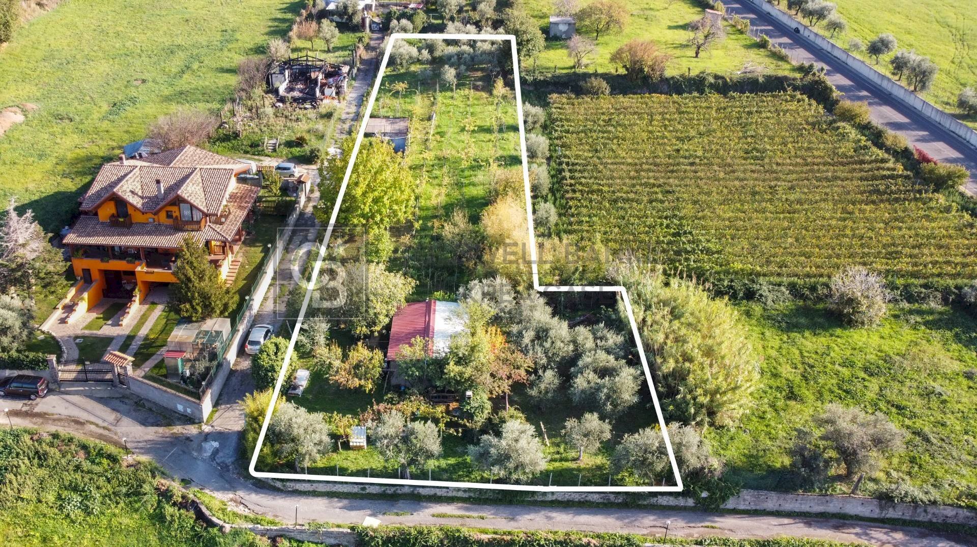 Foto 2 - Terreno agricolo Via Castel de Paolis
 
39, Grottaferrata - foto 2