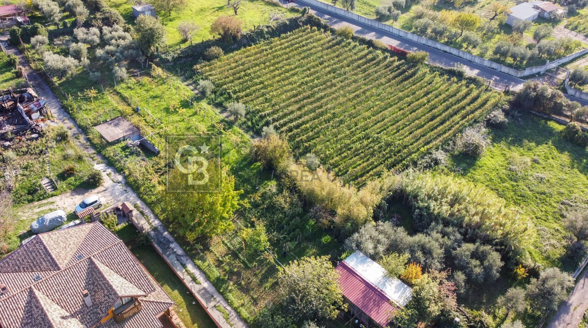 Foto 3 - Terreno agricolo Via Castel de Paolis
 
39, Grottaferrata - foto 3