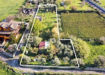 Foto 2 - Terreno agricolo Via Castel de Paolis
 
39, Grottaferrata - foto 2