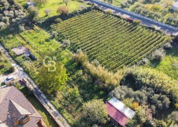 Foto 3 - Terreno agricolo Via Castel de Paolis
 
39, Grottaferrata - foto 3