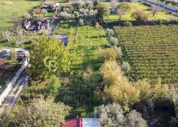 Foto 4 - Terreno agricolo Via Castel de Paolis
 
39, Grottaferrata - foto 4