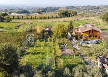 Foto 5 - Terreno agricolo Via Castel de Paolis
 
39, Grottaferrata - foto 5