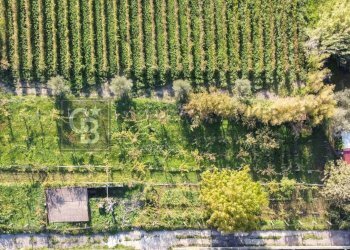 Foto 6 - Terreno agricolo Via Castel de Paolis
 
39, Grottaferrata - foto 6