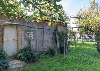 Foto 7 - Terreno agricolo Via Castel de Paolis
 
39, Grottaferrata - foto 7