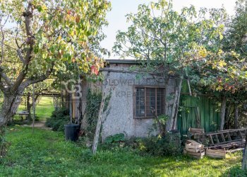 Foto 8 - Terreno agricolo Via Castel de Paolis
 
39, Grottaferrata - foto 8