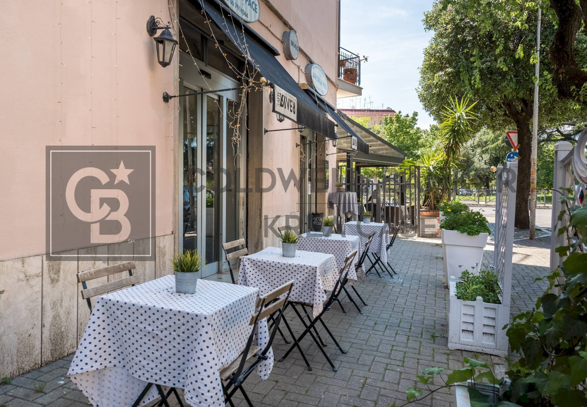 Foto 3 - Bar Tavola Calda - Fredda Via Monte Grappa
 
2, Ciampino - foto 3