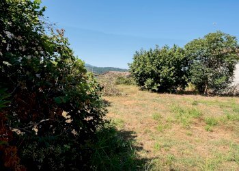 Foto 2 - Terreno edificabile Via Tevere, Attigliano - foto 2