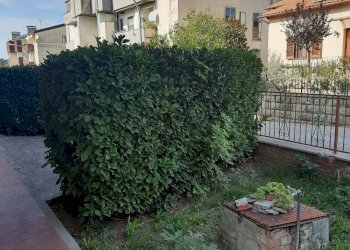 Foto 10 - Casa indipendente Sipicciano - Via Vittorio Veneto, Graffignano - foto 10