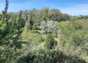 Foto 39 - Casa indipendente Vocabolo Caldare
 
5, Orte - foto 39