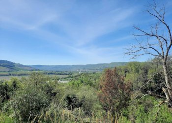 Foto 40 - Casa indipendente Vocabolo Caldare
 
5, Orte - foto 40