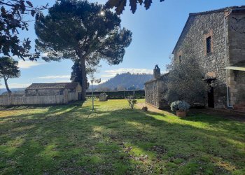 Foto 15 - Villa Sipicciano - Loc. Arciano, Graffignano - foto 15