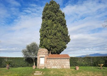 Foto 25 - Villa Sipicciano - Loc. Arciano, Graffignano - foto 25