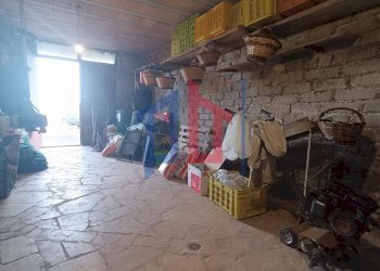 Foto 3 - Rustico via ferrari, Palombara Sabina - foto 3