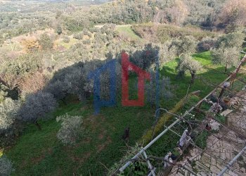 Foto 12 - Rustico via ferrari, Palombara Sabina - foto 12