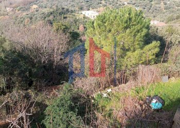 Foto 19 - Rustico via ferrari, Palombara Sabina - foto 19