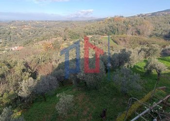 Foto 20 - Rustico via ferrari, Palombara Sabina - foto 20