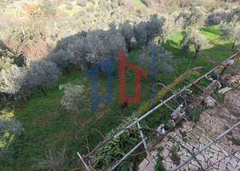 Foto 22 - Rustico via ferrari, Palombara Sabina - foto 22